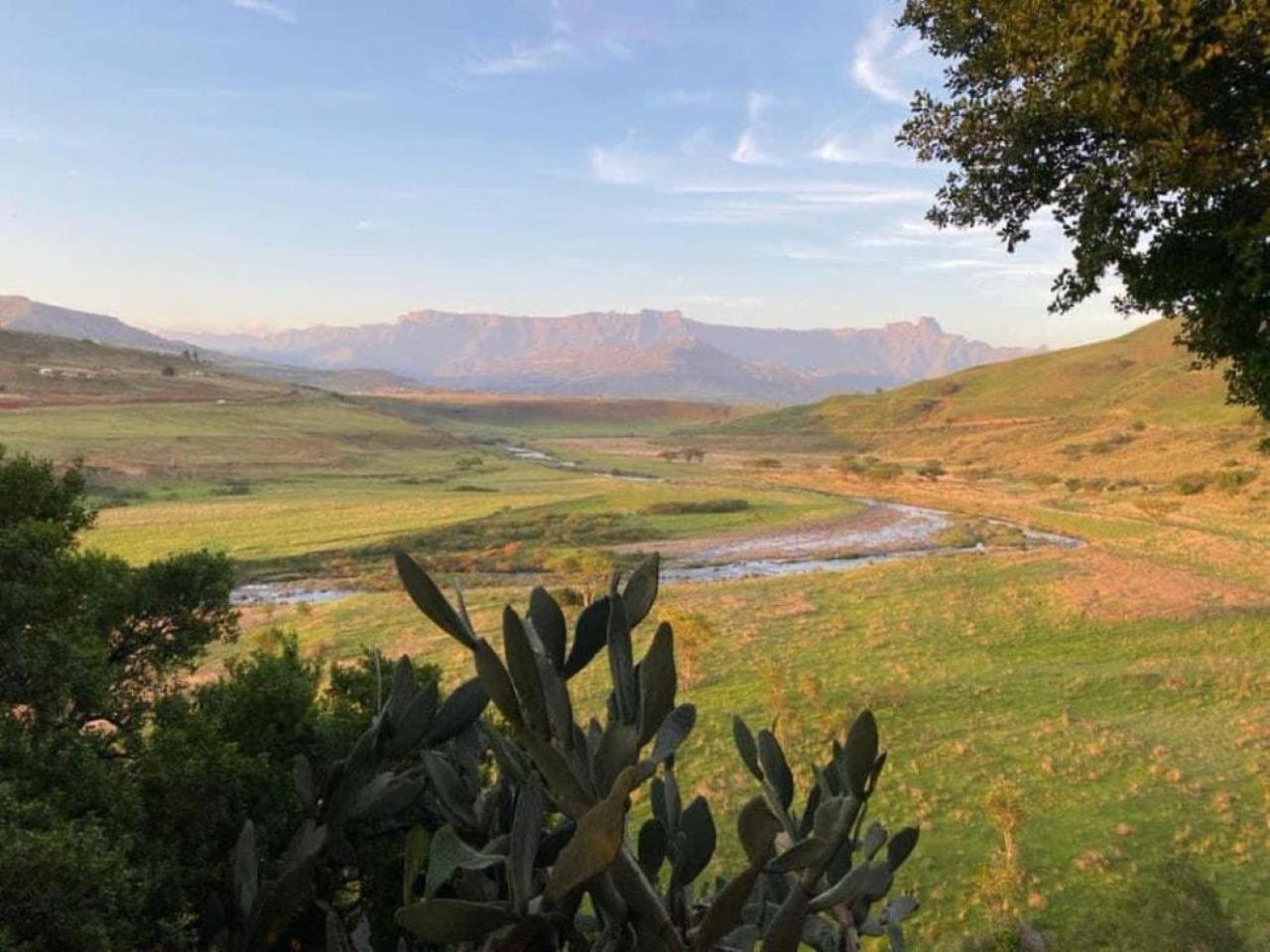 Hlalanathi Drakensberg Resort Берґвілл Екстер'єр фото